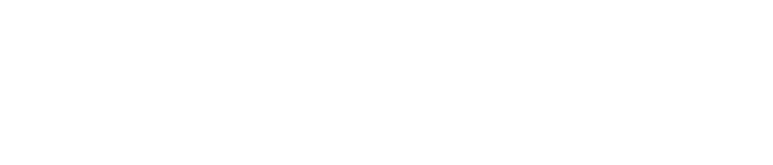NameFast Logo